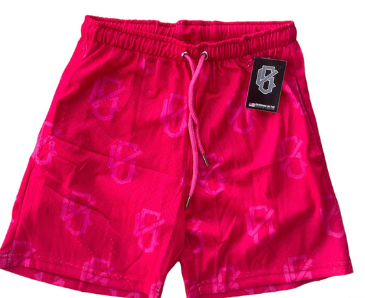 Pink/Pink Killswitch Shorts